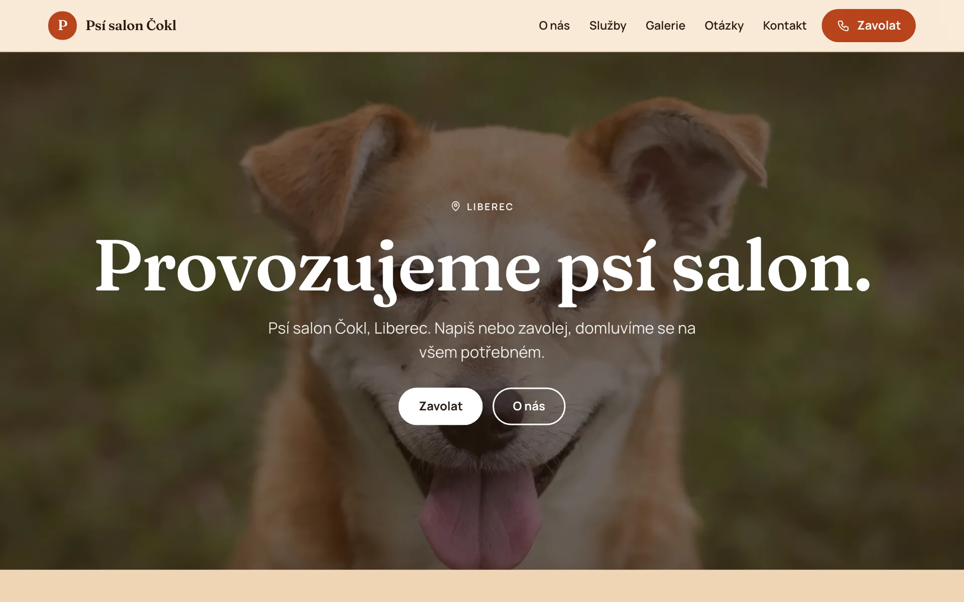 Web Psí salon Čokl